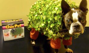 chia pet dog costume halloween