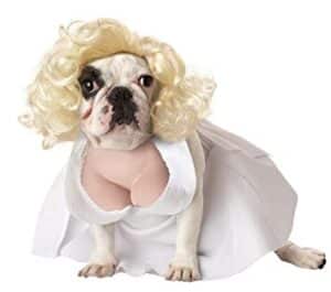 marilyn monroe dog costume halloween