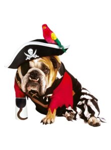 pirate dog costume halloween