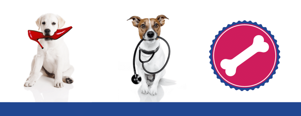URGENT – Dog Influenza Outbreak in the Midwest