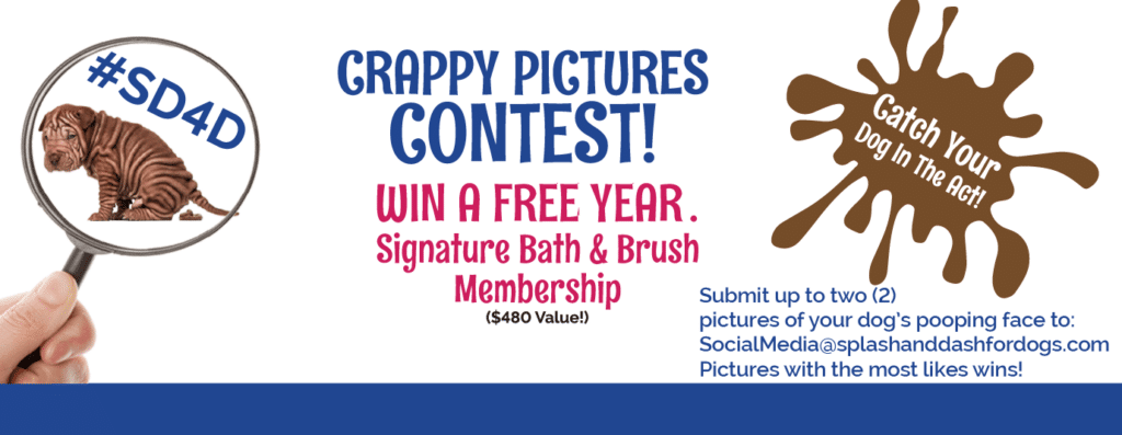Crappy Pictures: Win a Year’s Splash and Dash for Dog’s Signature Bath Membership