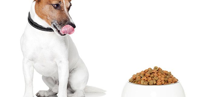 Pet Care Dog Broth Makes Great Addition to Rotational Diet