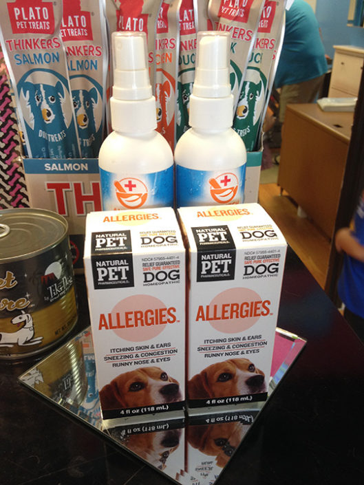 Splash and Dash Dog Grooming Coppell TX Splash and Dash For Dogs