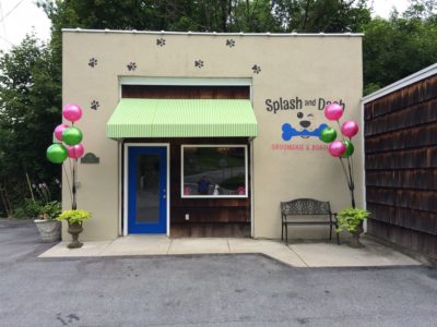 Splash and Dash Dog Grooming Monroe NY | Splash and Dash For Dogs