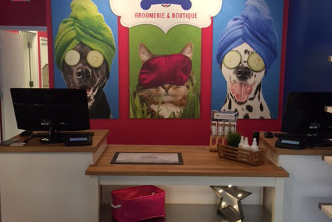 meridian pet store boise