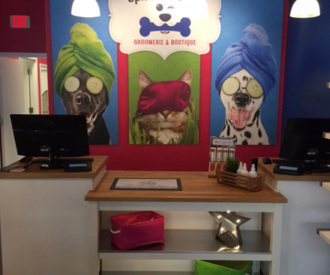 Splash and Dash Groomerie & Boutique