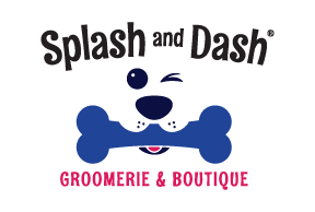 Splash and Dash Dog Grooming Grand Rapids