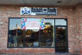 Splash and Dash Dog Grooming St James Ny