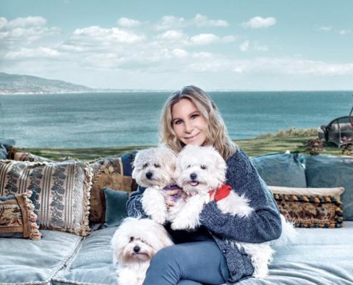 Barbra Streisand cloned dogs
