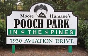 pooch park in the pines southern pines dog park
