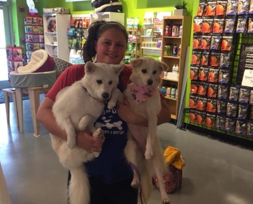 Korean Rescue Dogs Dog Groomer Des Plaines
