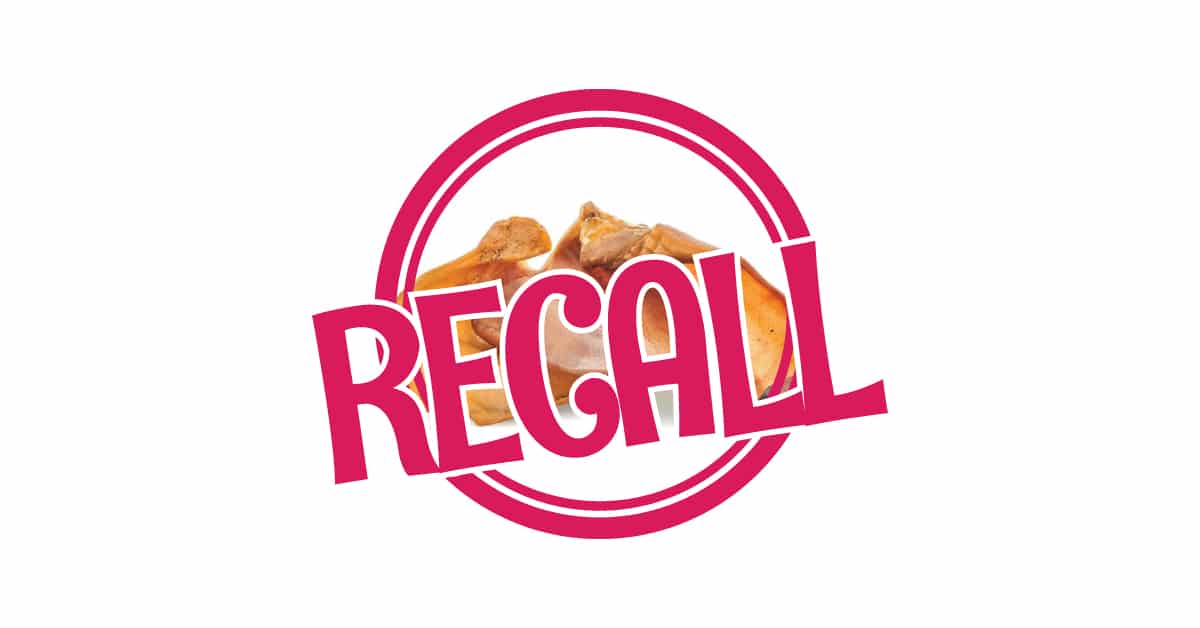 URGENT Recall of ALL Pig Ear Dog Chew Treats! Splash and Dash for Dogs