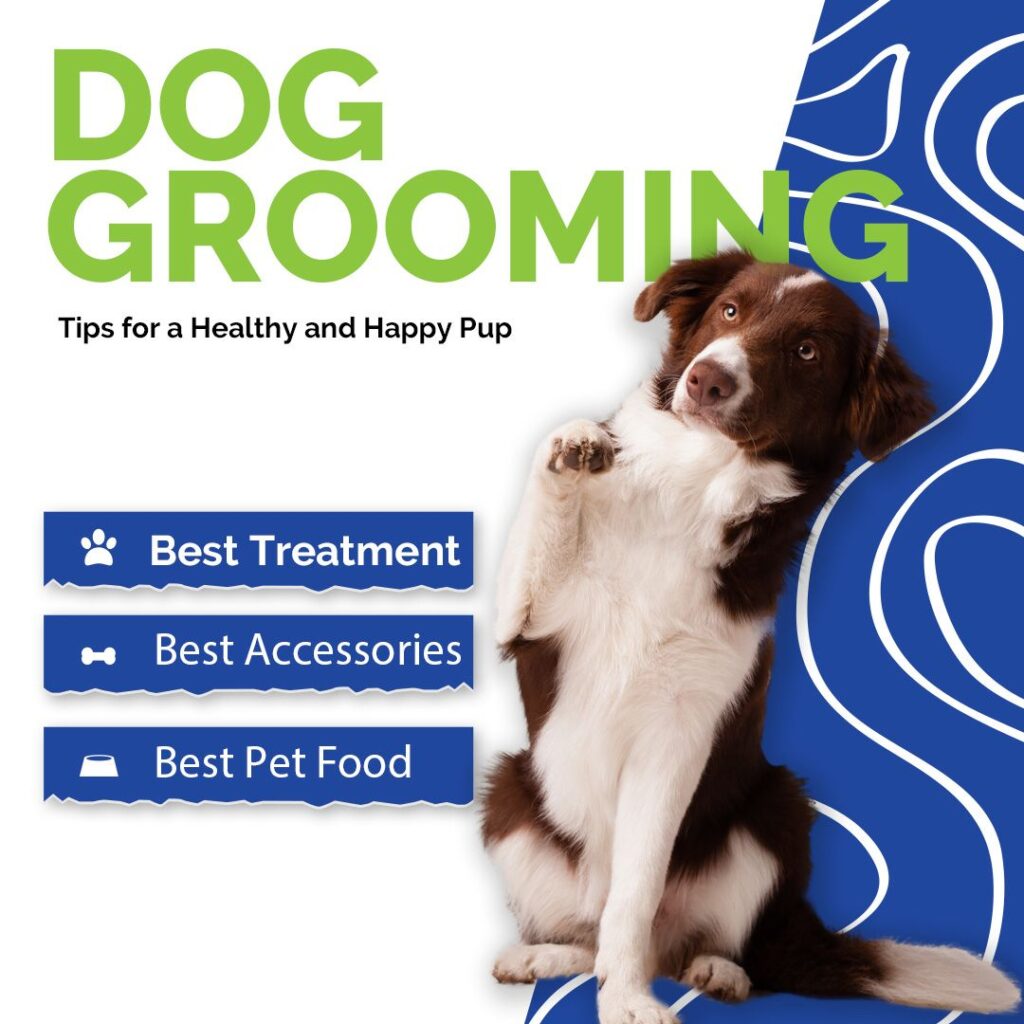 dog-grooming-tips-for-a-healthy-and-happy-pup