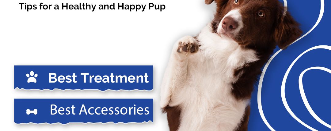 dog-grooming-tips-for-a-healthy-and-happy-pup