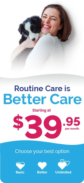 Routine-Care-banner-3
