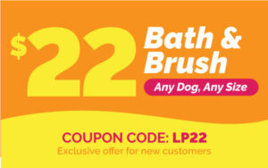 Splash and Dash Groomerie & Boutique $22 discount coupon