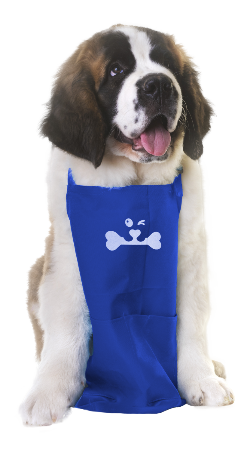 Find a Splash and Dash Groomerie & Boutique Near You Splash and Dash