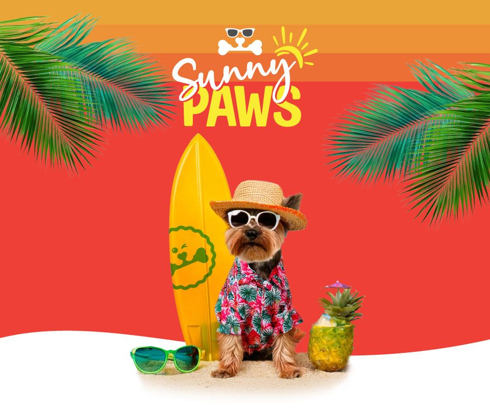 Small dog, beach party.