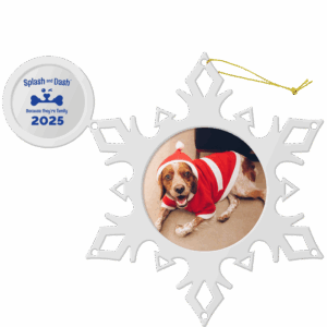 PictureFrame-Ornament-2025