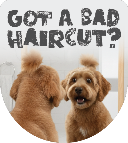 Cute-Cut-Graphics-1