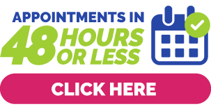 Book your dog grooming appointment in St. Petersburg within 48 hours