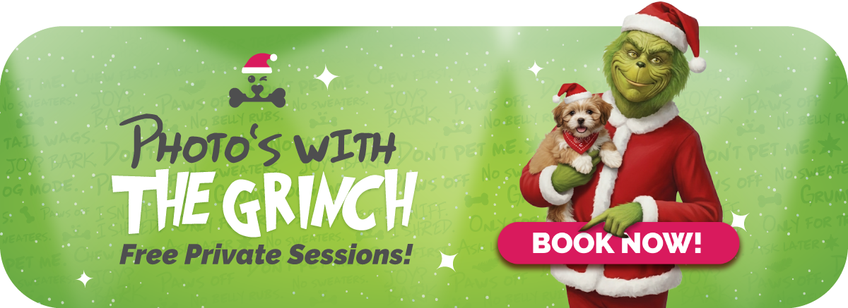 Grinch-Photo-Session-Web-Banner-FINAL-2