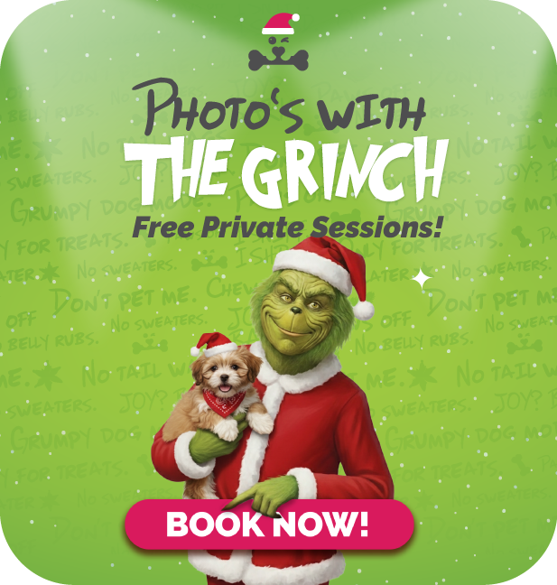 Grinch-Photo-Session-Web-Banner-square