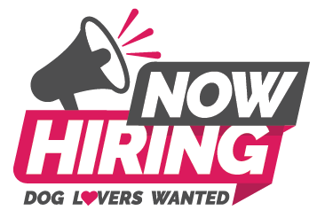 Hiring-Logo Hiring-Logo