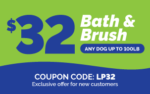 32BB-Green