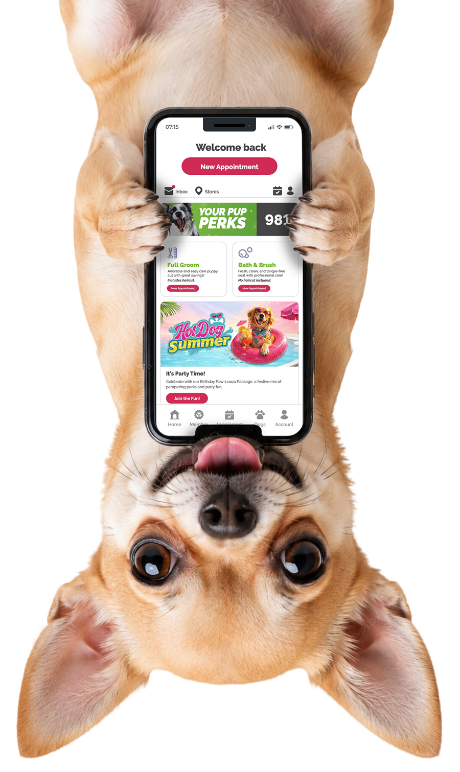 Happy upside down dog holding a smartphone between its paws.