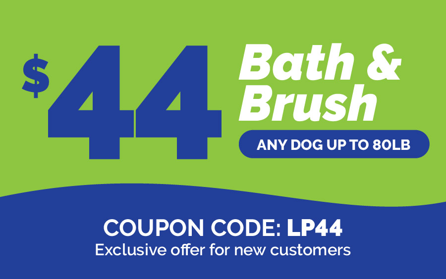 Splash and Dash Groomerie & Boutique